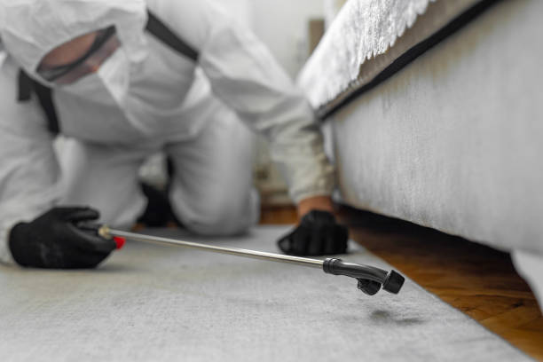 Professional Cockroach Control technician working in Cortland West, NY