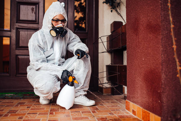 Reliable Cockroach Control contractor in Cortland West, NY by Nex Pest Control