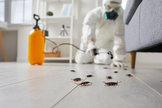 Trusted Cockroach Control service in Cortland West, NY - Nex Pest Control