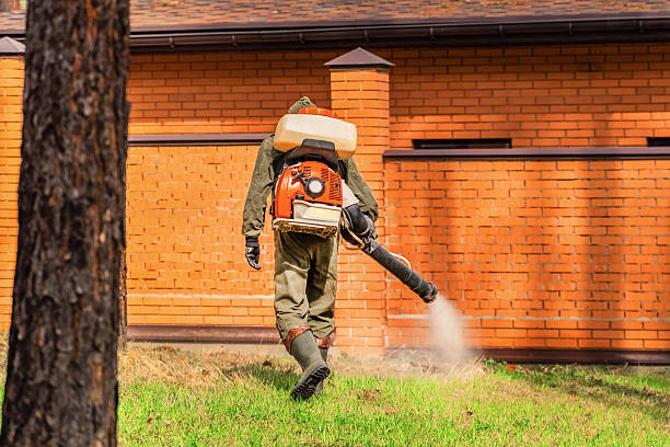 Trusted Rodent Control service in Cortland West, NY - Nex Pest Control